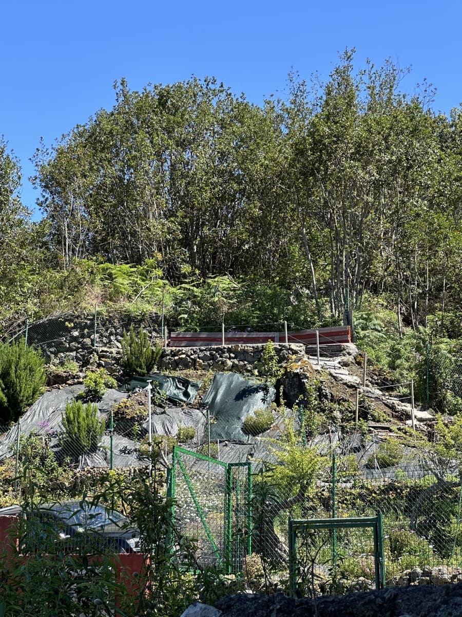 2 Zimmer Haus zu verkaufen in Icod de los Vinos - 390.000 € (Ref: 9567898)