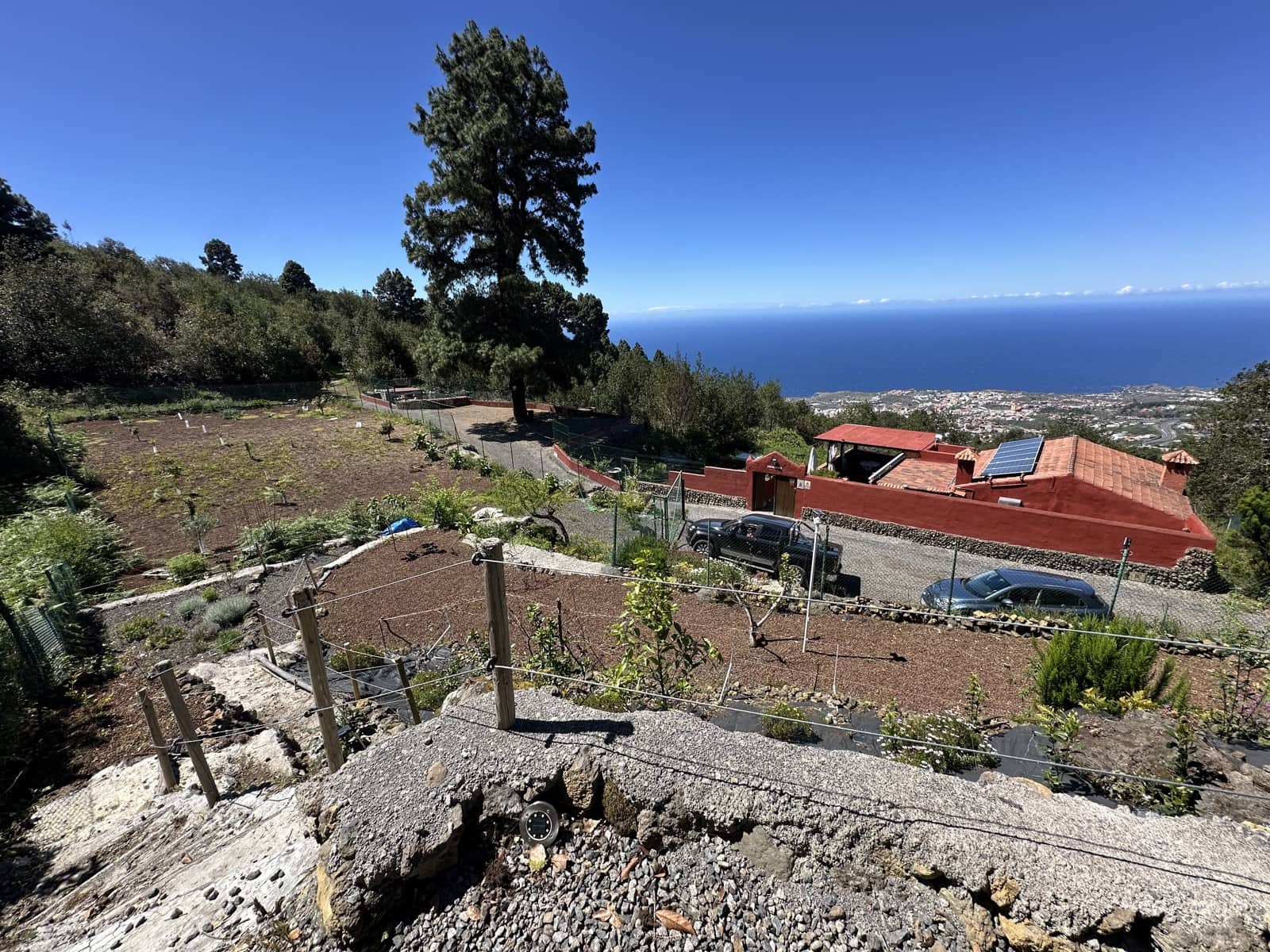 2 Zimmer Haus zu verkaufen in Icod de los Vinos - 390.000 € (Ref: 9567898)