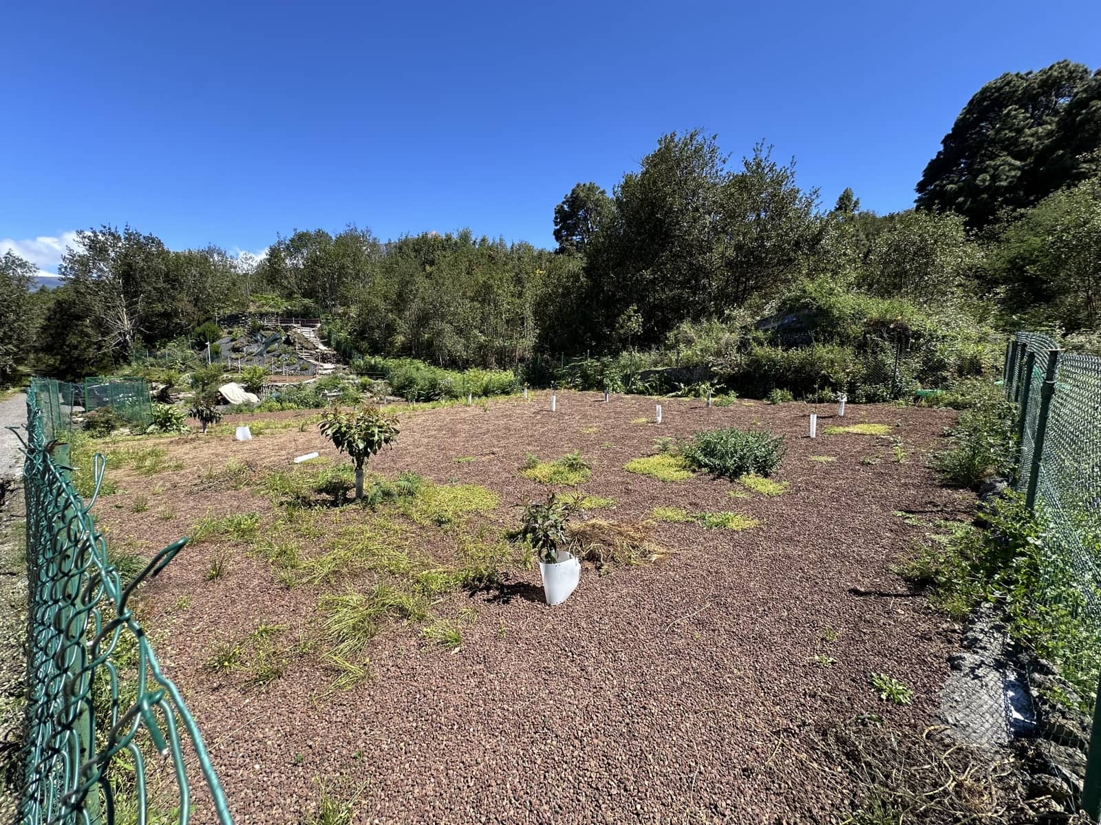 2 Zimmer Haus zu verkaufen in Icod de los Vinos - 390.000 € (Ref: 9567898)