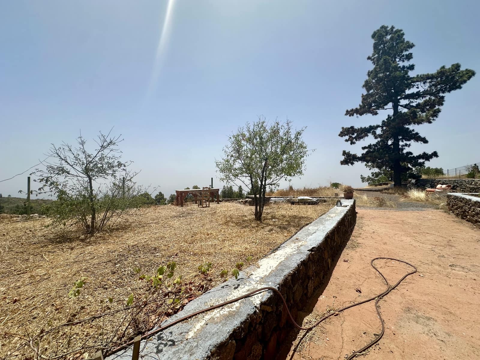 Terre non Aménagée à vendre à San Miguel de Abona - 215 000 € (Ref: 9567899)