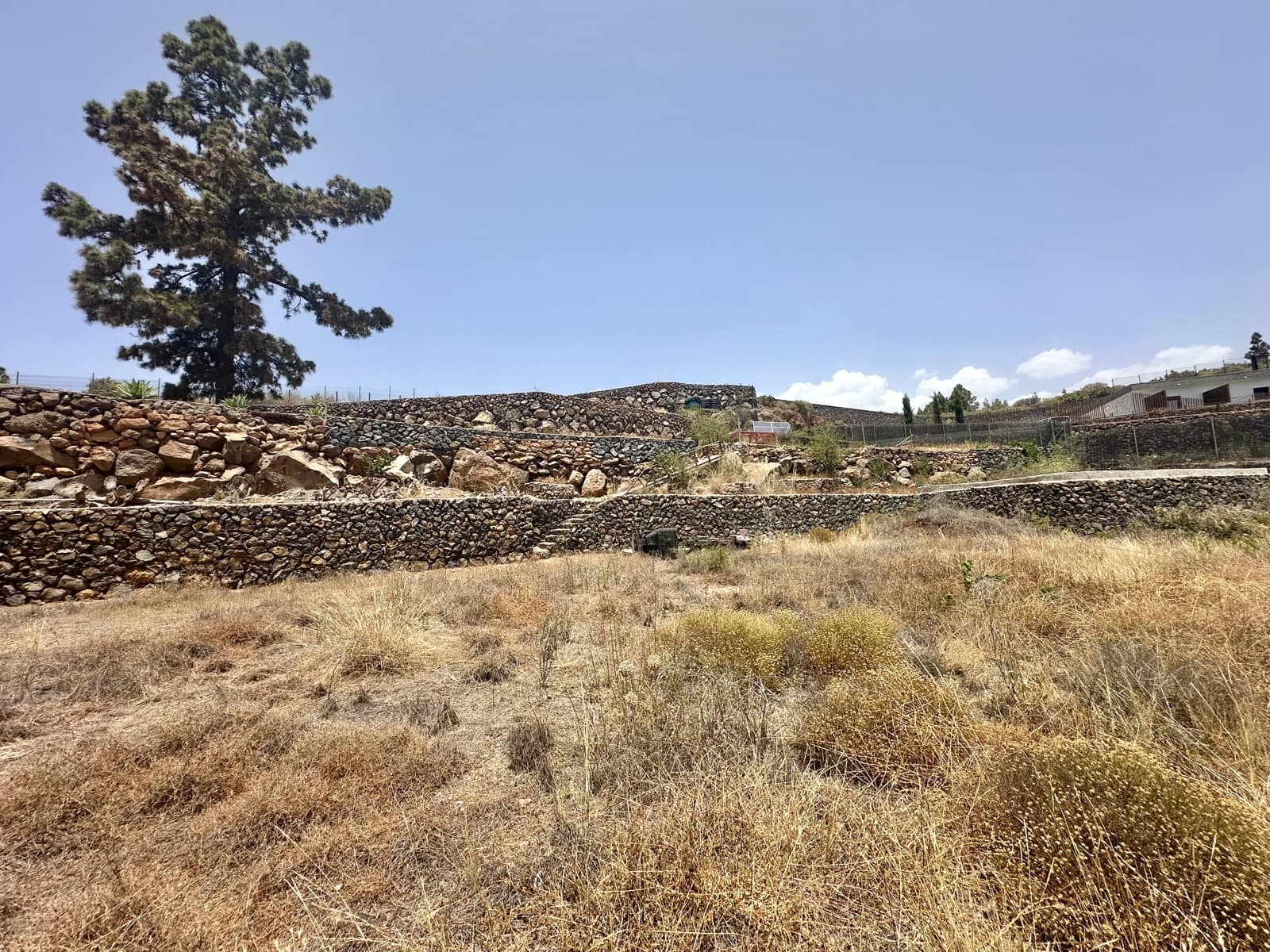 Terre non Aménagée à vendre à San Miguel de Abona - 215 000 € (Ref: 9567899)