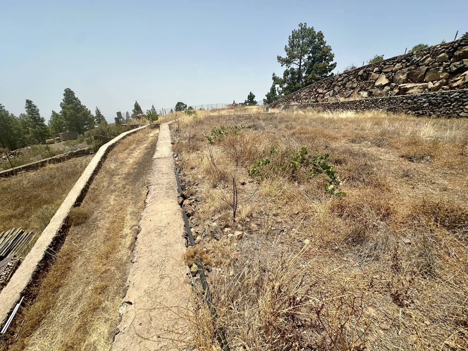 Terre non Aménagée à vendre à San Miguel de Abona - 215 000 € (Ref: 9567899)