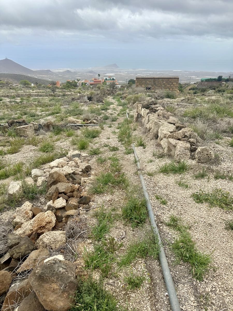 Teren niezagospodarowany na sprzedaż w San Miguel de Abona - 165 000 € (Ref: 9568033)