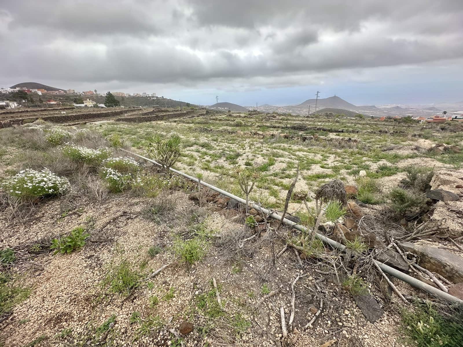 Teren niezagospodarowany na sprzedaż w San Miguel de Abona - 165 000 € (Ref: 9568033)