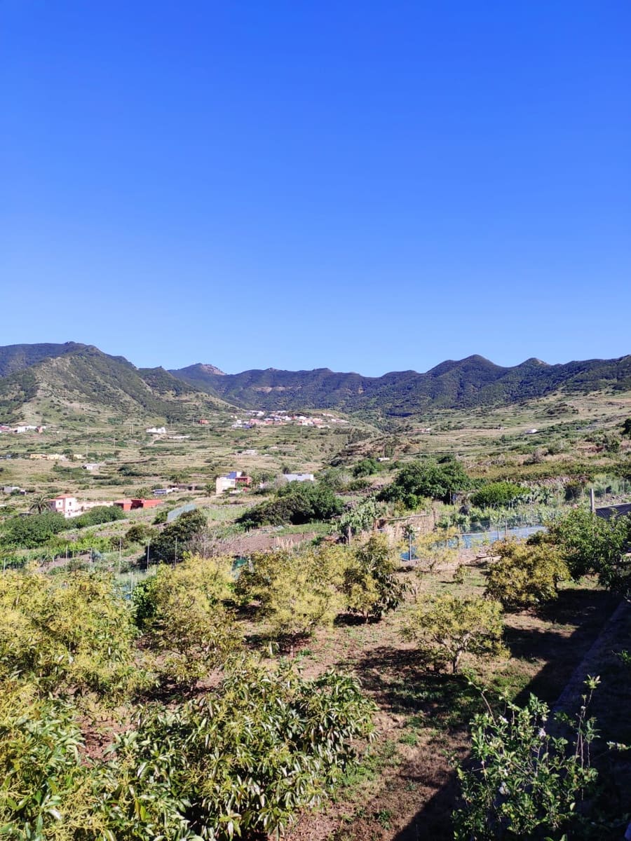 Grunde uden byggetilladelser til salg i Buenavista del Norte - € 89.000 (Ref: 9568051)