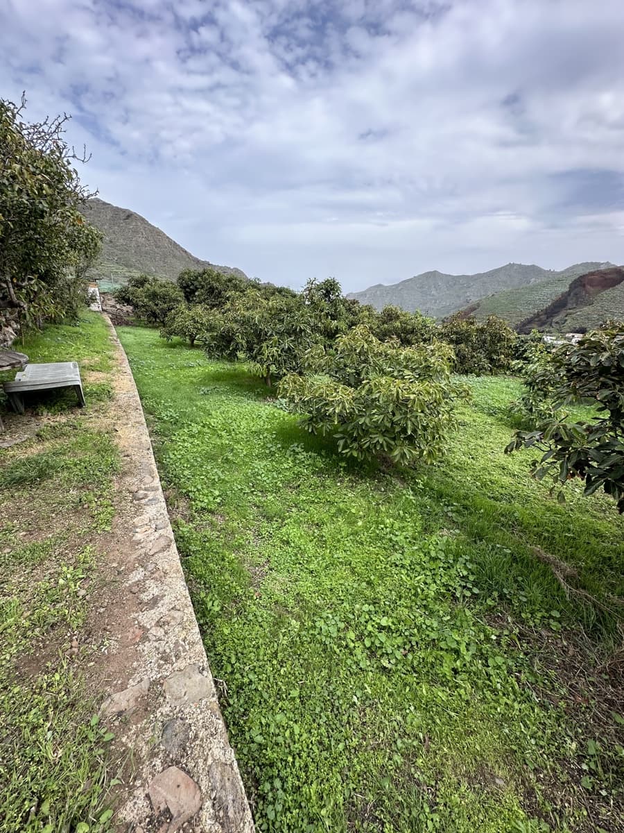 Grunde uden byggetilladelser til salg i Buenavista del Norte - € 89.000 (Ref: 9568051)