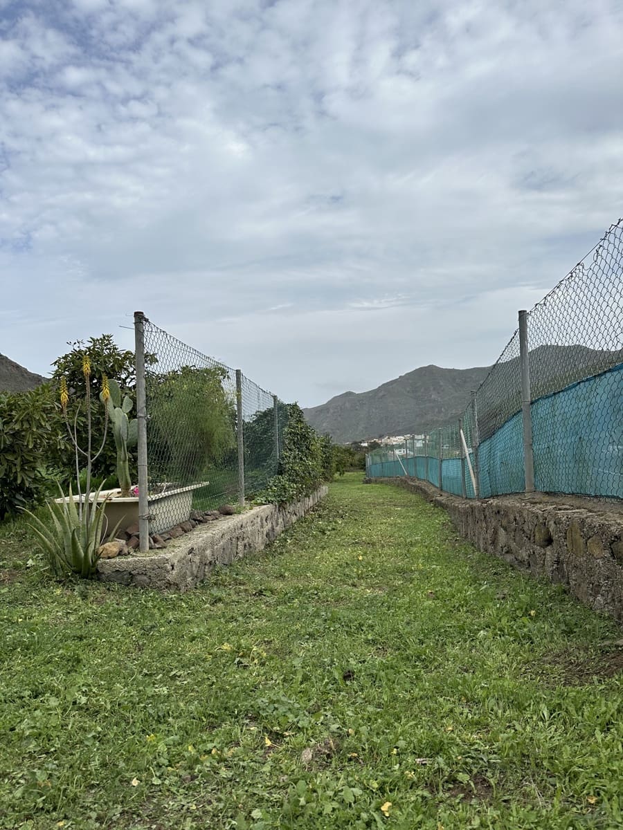 Grunde uden byggetilladelser til salg i Buenavista del Norte - € 89.000 (Ref: 9568051)