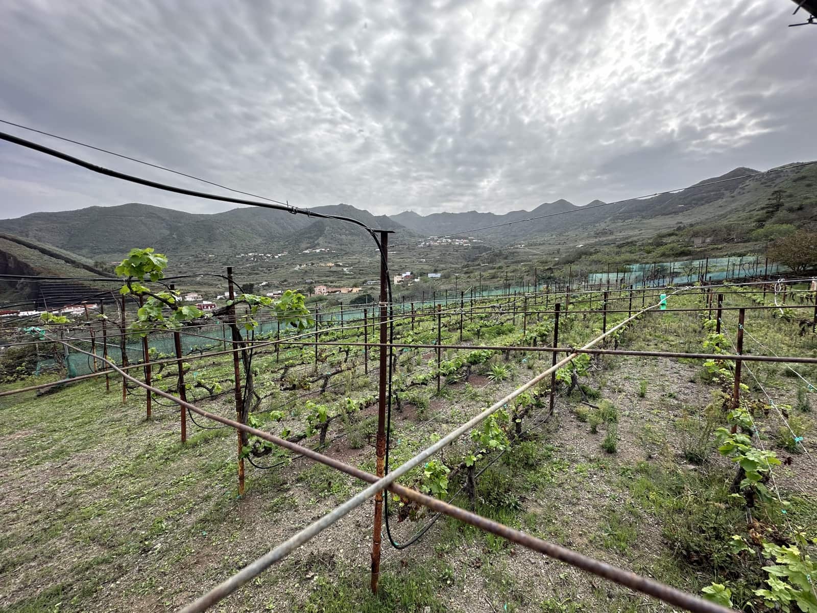 Grunde uden byggetilladelser til salg i Buenavista del Norte - € 89.000 (Ref: 9568051)