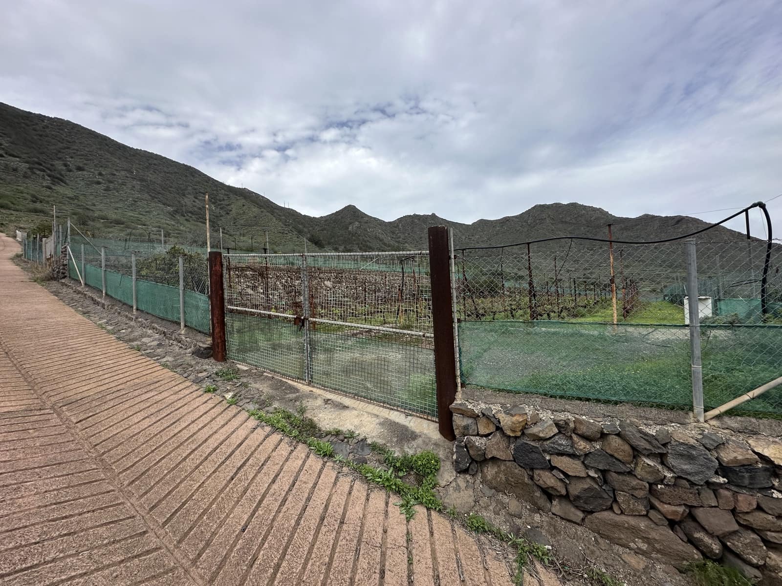 Grunde uden byggetilladelser til salg i Buenavista del Norte - € 89.000 (Ref: 9568051)