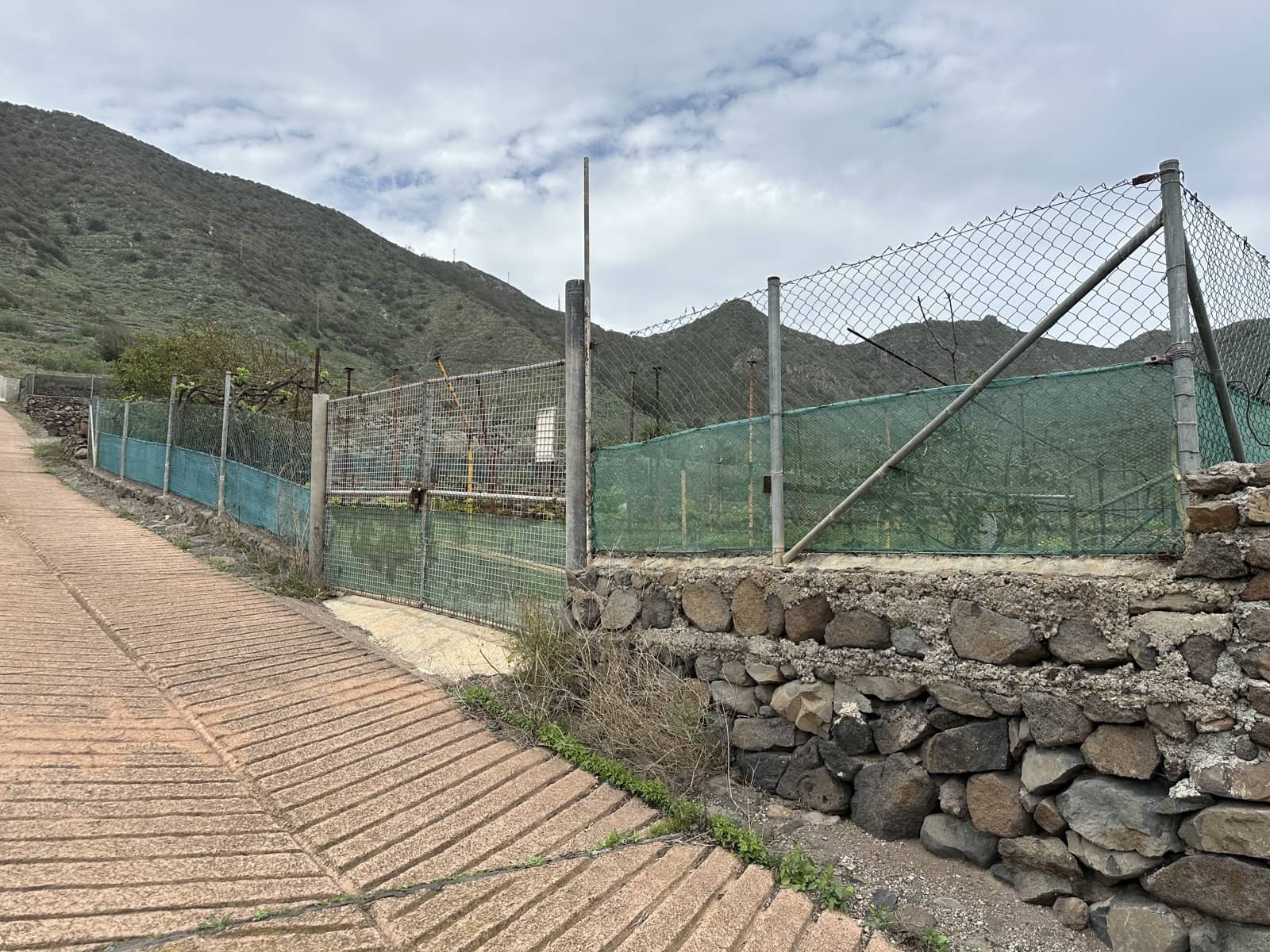 Grunde uden byggetilladelser til salg i Buenavista del Norte - € 89.000 (Ref: 9568051)