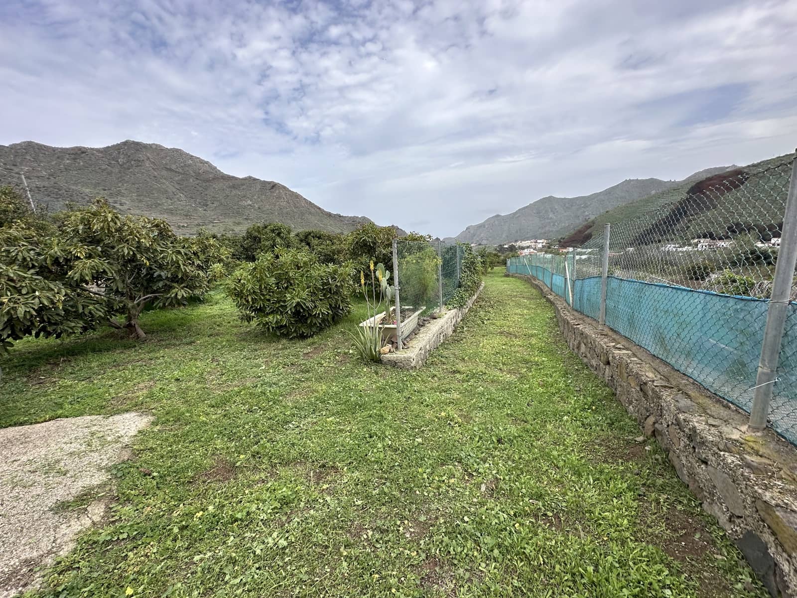 Grunde uden byggetilladelser til salg i Buenavista del Norte - € 89.000 (Ref: 9568051)