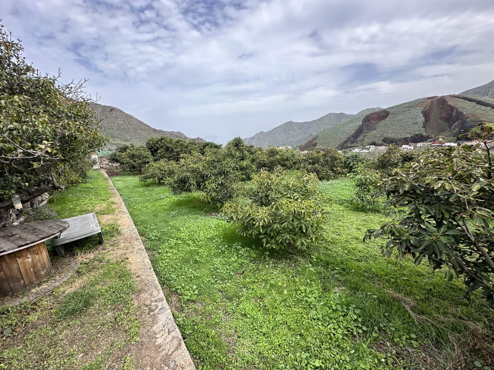 Grunde uden byggetilladelser til salg i Buenavista del Norte - € 89.000 (Ref: 9568051)