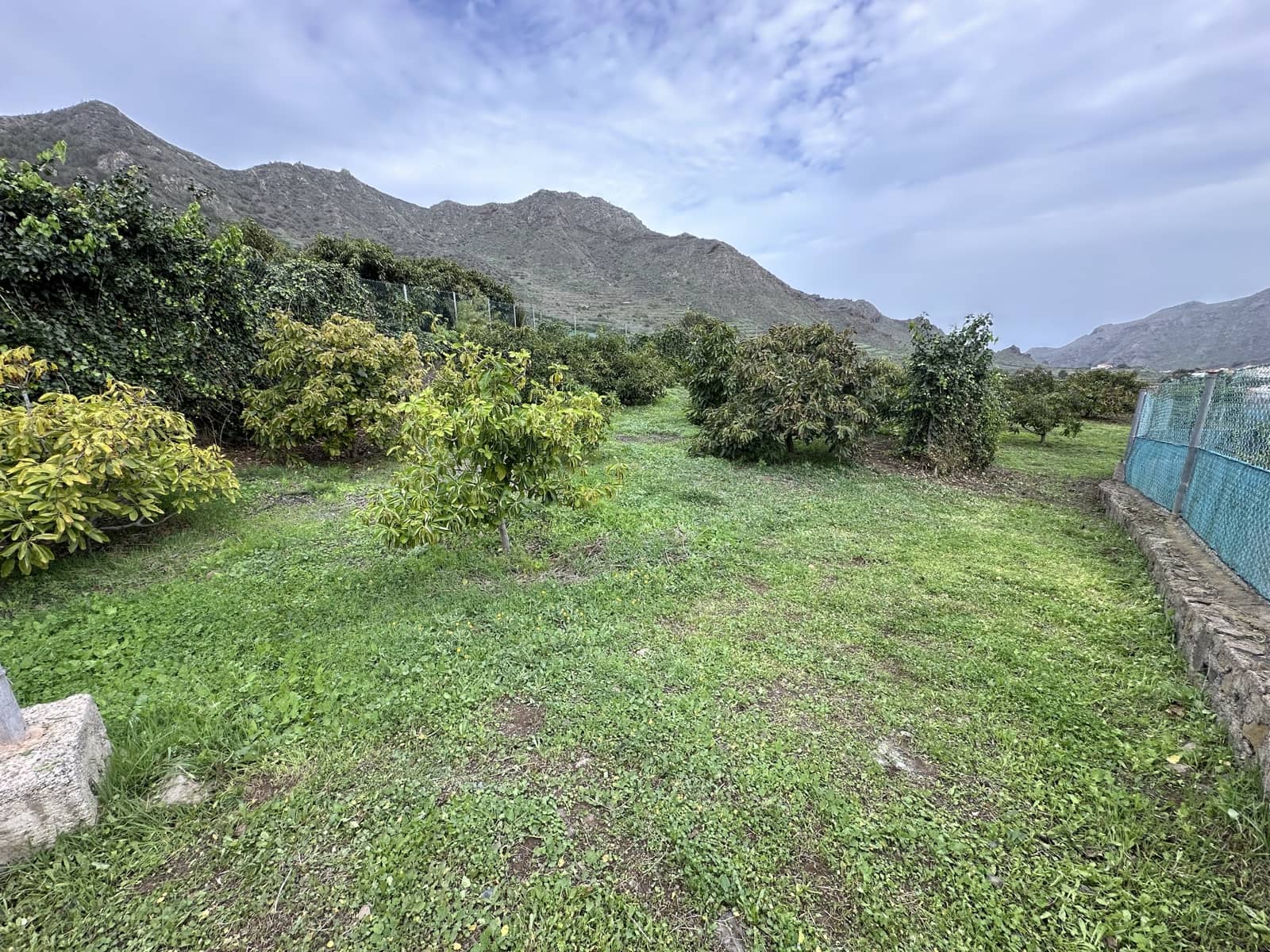 Grunde uden byggetilladelser til salg i Buenavista del Norte - € 89.000 (Ref: 9568051)