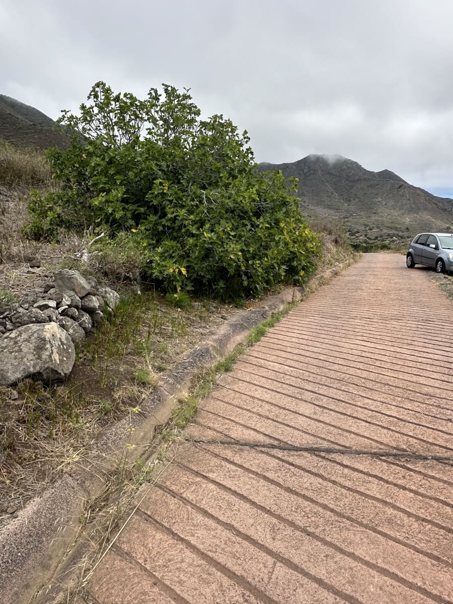 Terre non Aménagée à vendre à Buenavista del Norte - 63 000 € (Ref: 9568079)