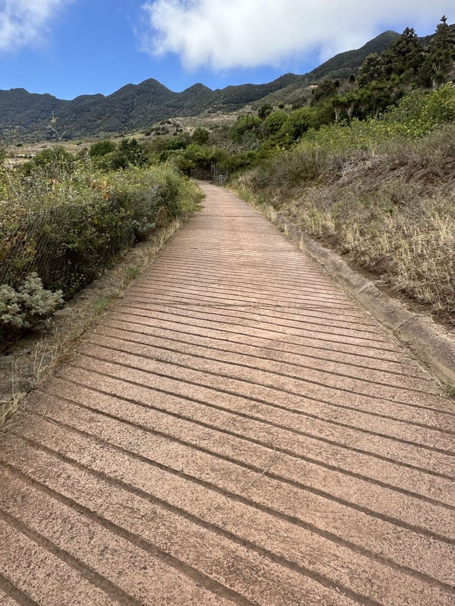 Terre non Aménagée à vendre à Buenavista del Norte - 63 000 € (Ref: 9568079)