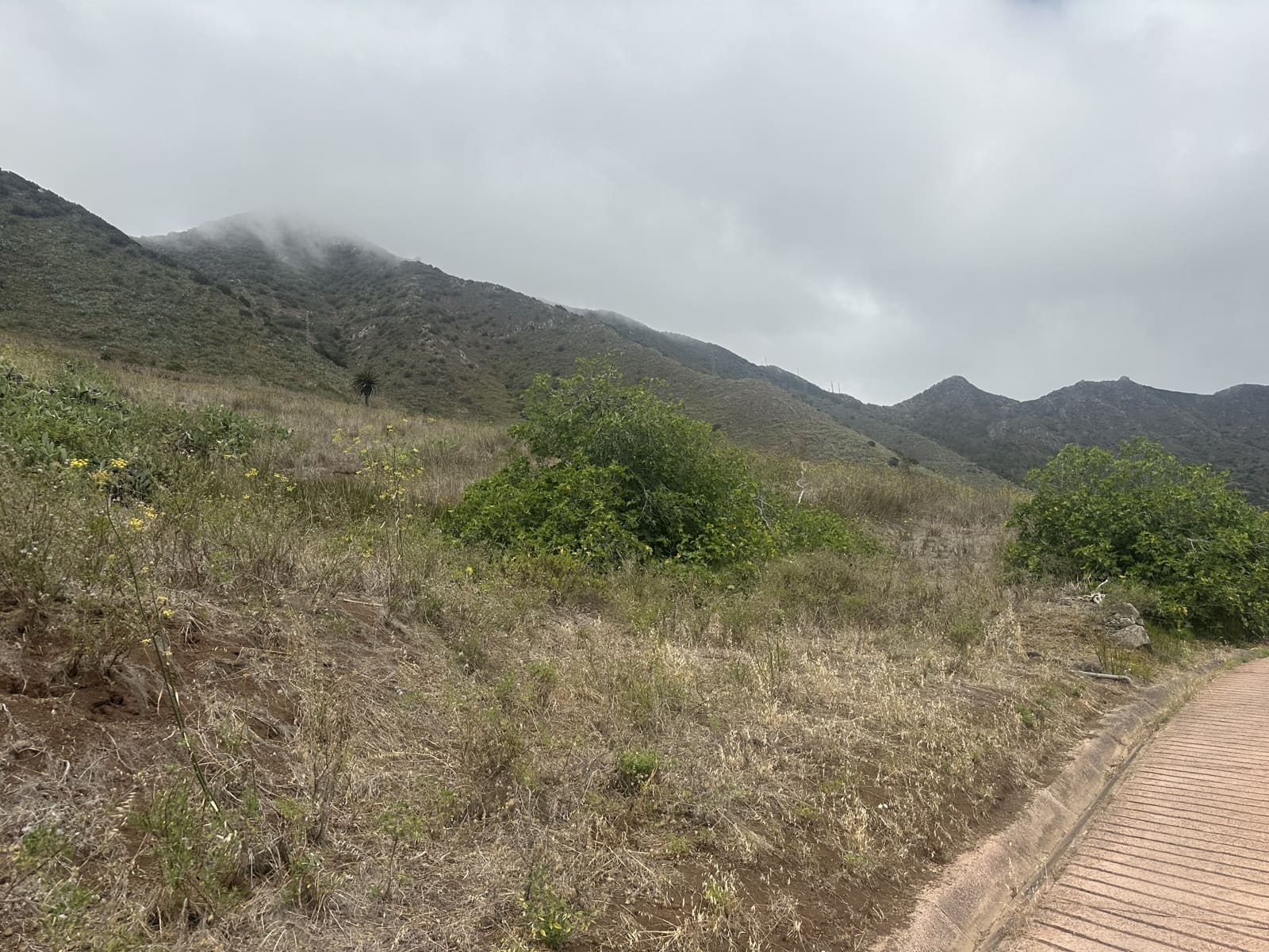 Terre non Aménagée à vendre à Buenavista del Norte - 63 000 € (Ref: 9568079)