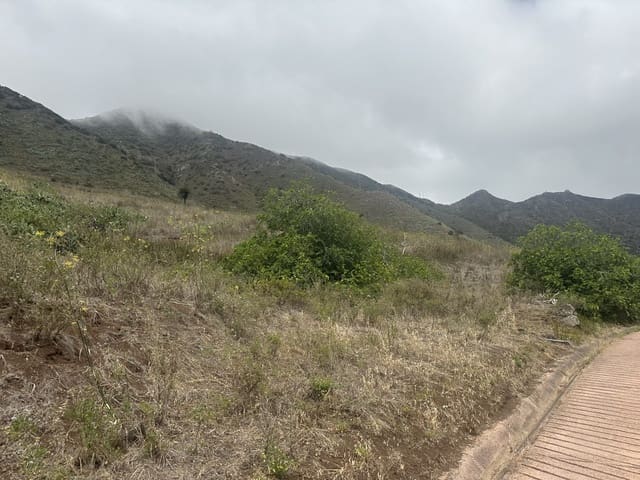 Terre non Aménagée à vendre à Buenavista del Norte - 63 000 € (Ref: 9568079)