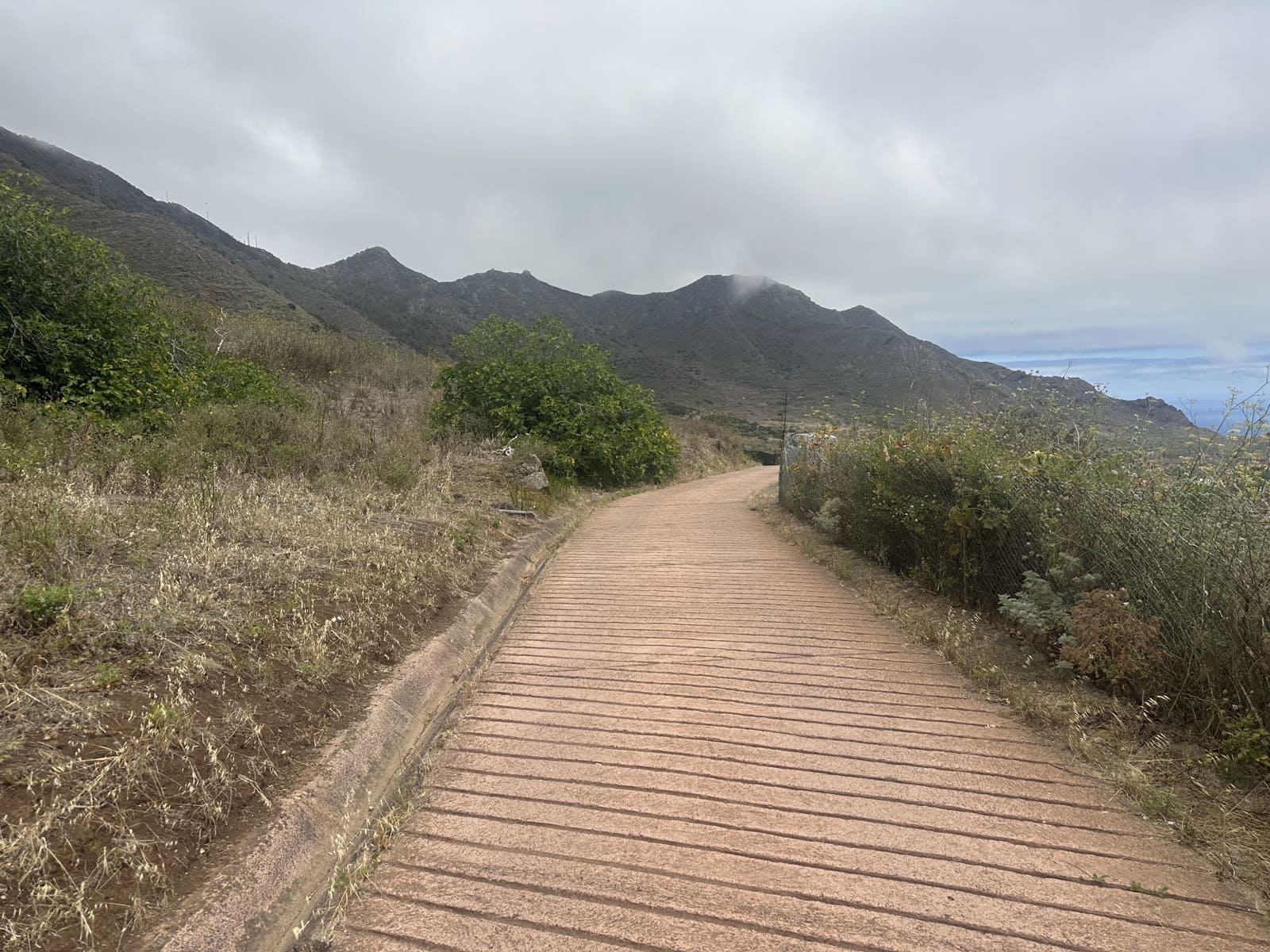 Terre non Aménagée à vendre à Buenavista del Norte - 63 000 € (Ref: 9568079)