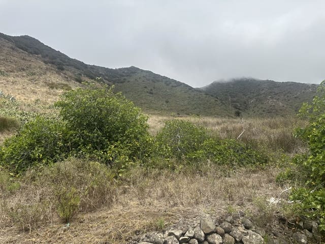 Terre non Aménagée à vendre à Buenavista del Norte - 63 000 € (Ref: 9568079)