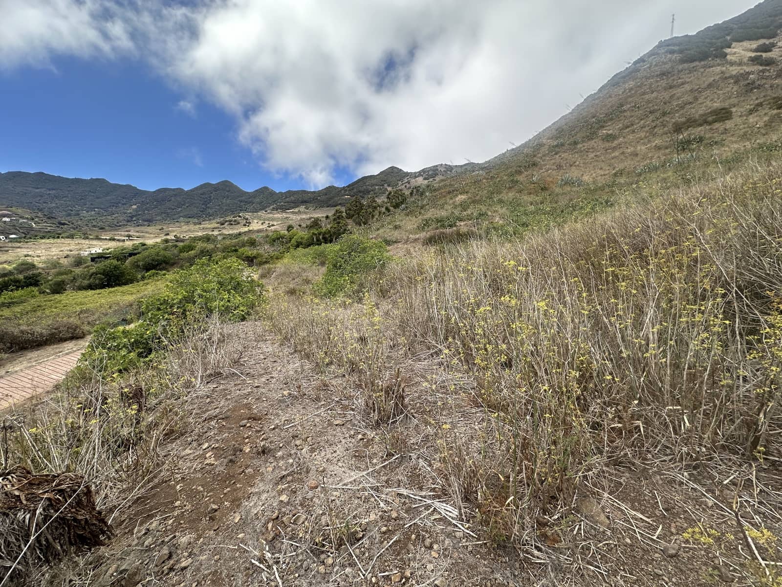 Terre non Aménagée à vendre à Buenavista del Norte - 63 000 € (Ref: 9568079)