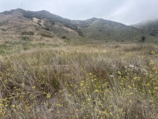 Terre non Aménagée à vendre à Buenavista del Norte - 63 000 € (Ref: 9568079)