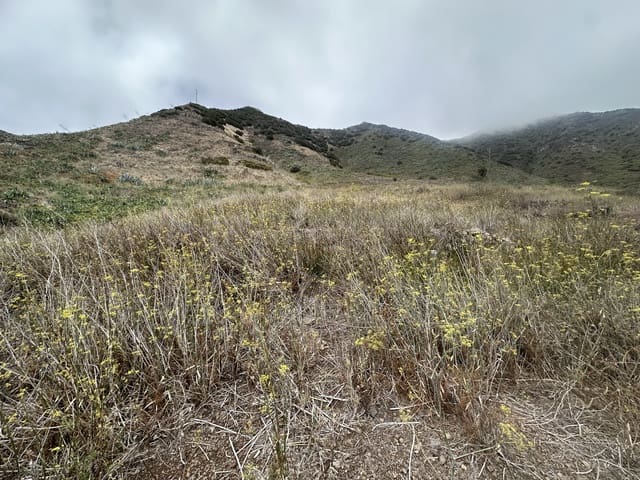 Terre non Aménagée à vendre à Buenavista del Norte - 63 000 € (Ref: 9568079)