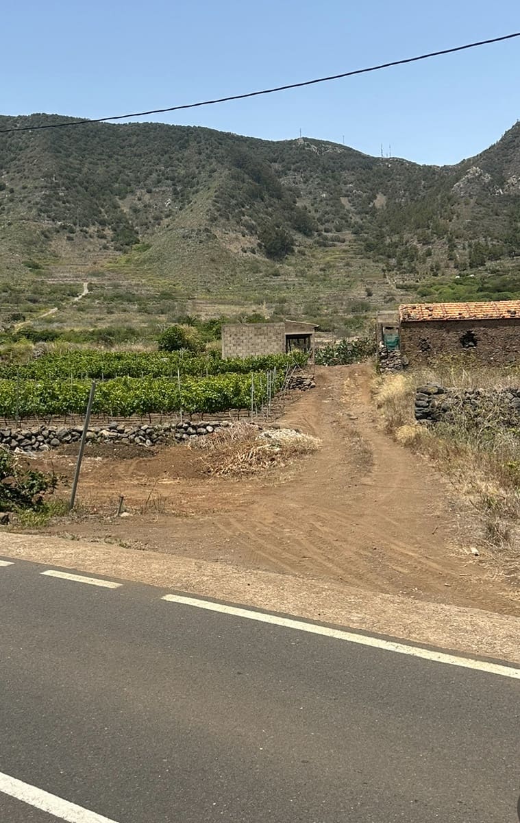 Terre non Aménagée à vendre à Buenavista del Norte - 63 000 € (Ref: 9568106)