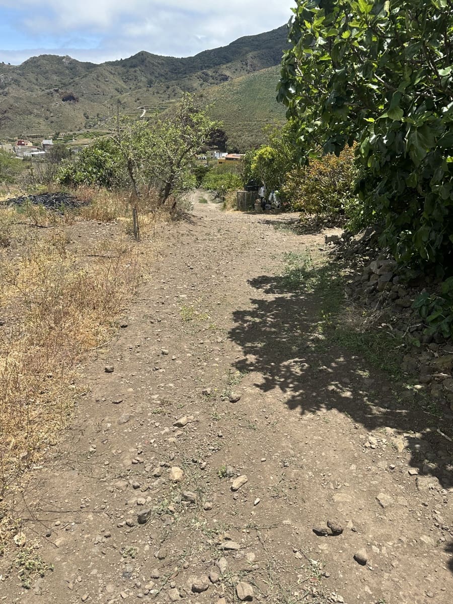 Terre non Aménagée à vendre à Buenavista del Norte - 63 000 € (Ref: 9568106)