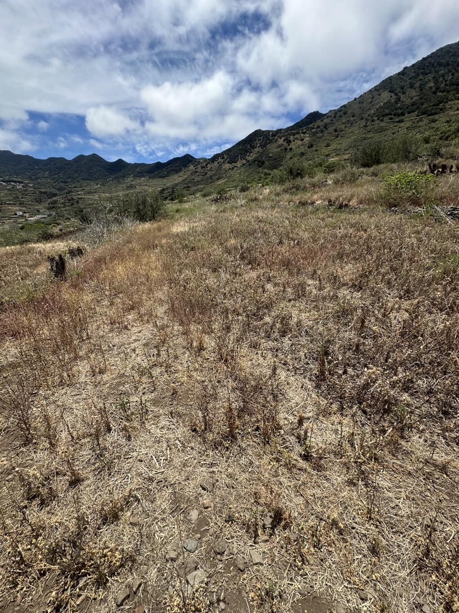 Terre non Aménagée à vendre à Buenavista del Norte - 63 000 € (Ref: 9568106)