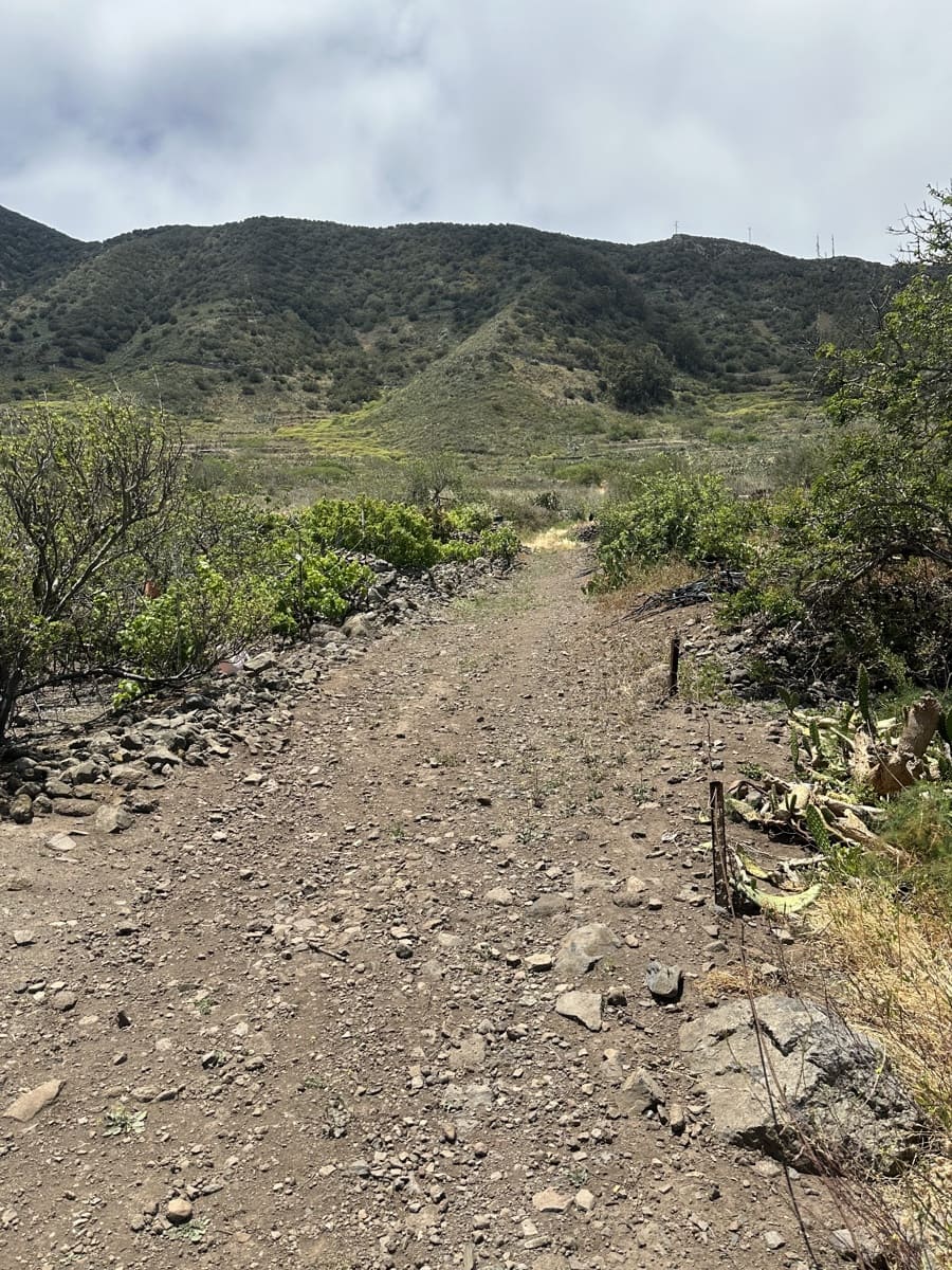 Terre non Aménagée à vendre à Buenavista del Norte - 63 000 € (Ref: 9568106)