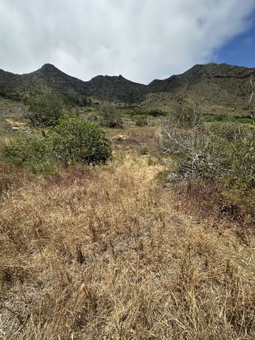 Terre non Aménagée à vendre à Buenavista del Norte - 63 000 € (Ref: 9568106)