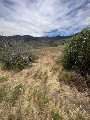 Terre non Aménagée à vendre à Buenavista del Norte - 63 000 € (Ref: 9568106)