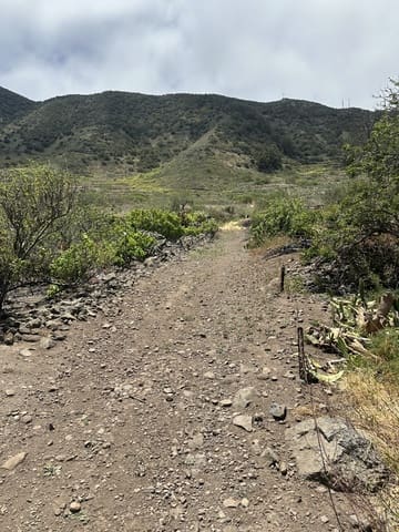 Terre non Aménagée à vendre à Buenavista del Norte - 63 000 € (Ref: 9568106)