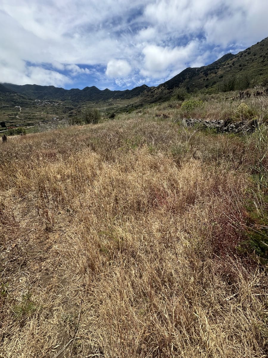 Terre non Aménagée à vendre à Buenavista del Norte - 63 000 € (Ref: 9568106)