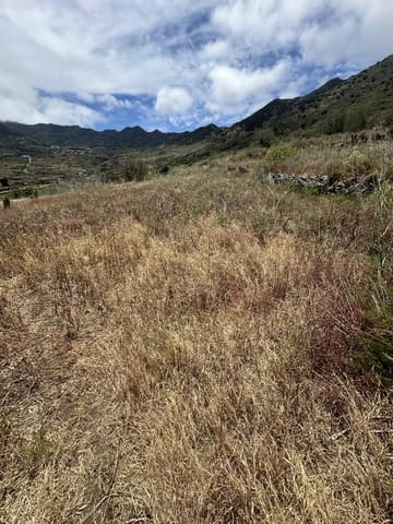 Terre non Aménagée à vendre à Buenavista del Norte - 63 000 € (Ref: 9568106)