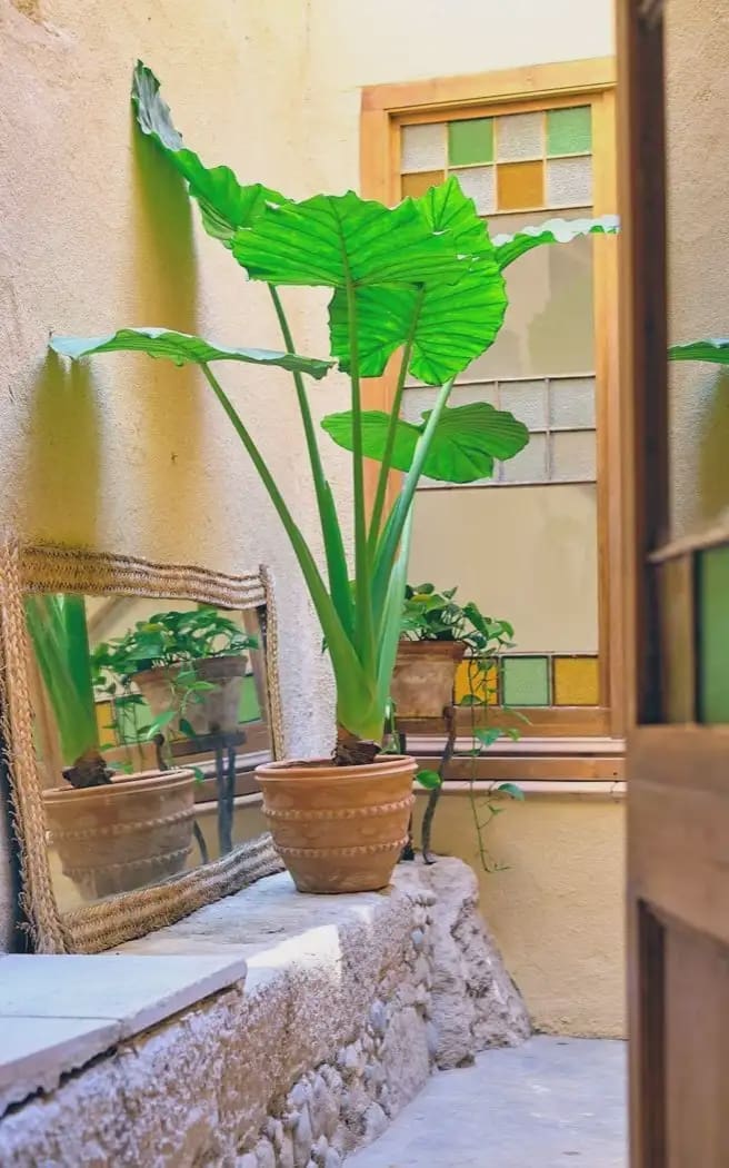 2 sypialnia Dom do wynajęcia w Miasto Girona - 2 000 € (Ref: 10023259)