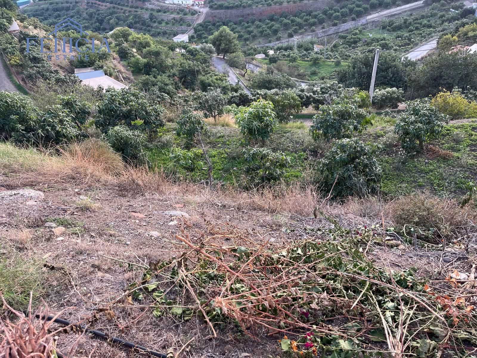 3 Zimmer Finca/Landgut zu verkaufen in Almunecar - 215.000 € (Ref: 8674404)