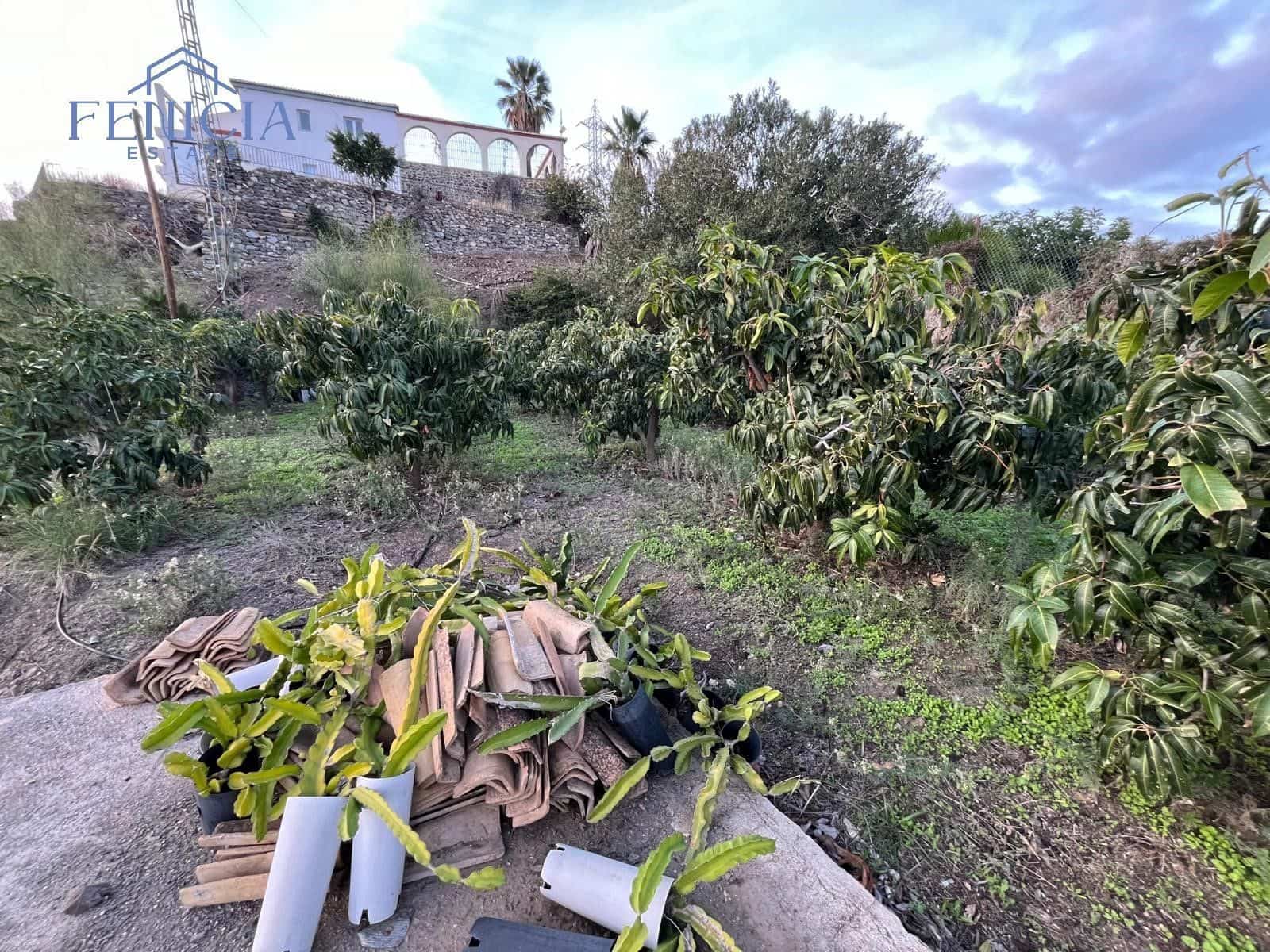 3 Zimmer Finca/Landgut zu verkaufen in Almunecar - 215.000 € (Ref: 8674404)