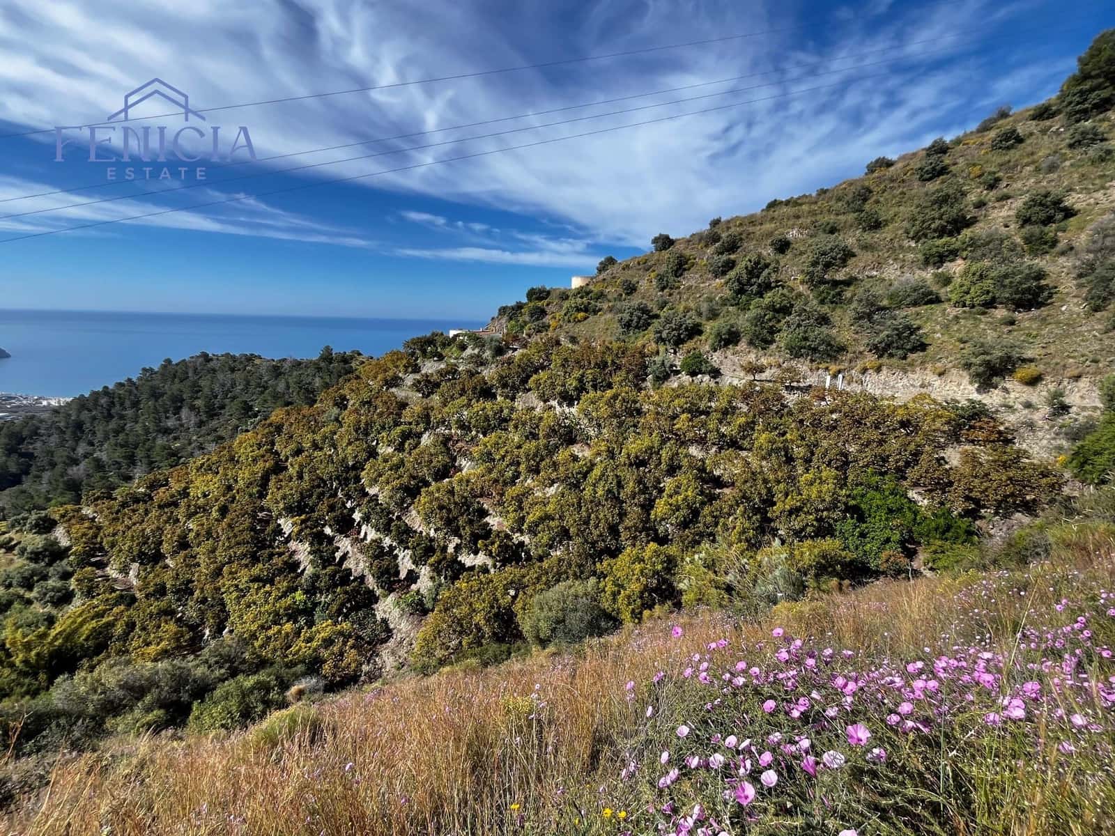 2 sovrum Finca/Hus på landet till salu i La Herradura med pool garage - 349 000 € (Ref: 8993601)