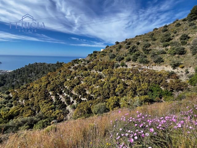 Finca/Casa Rural de 2 habitaciones en La Herradura, Almuñécar en venta con piscina garaje - 405.000 € (Ref: 8993601)
