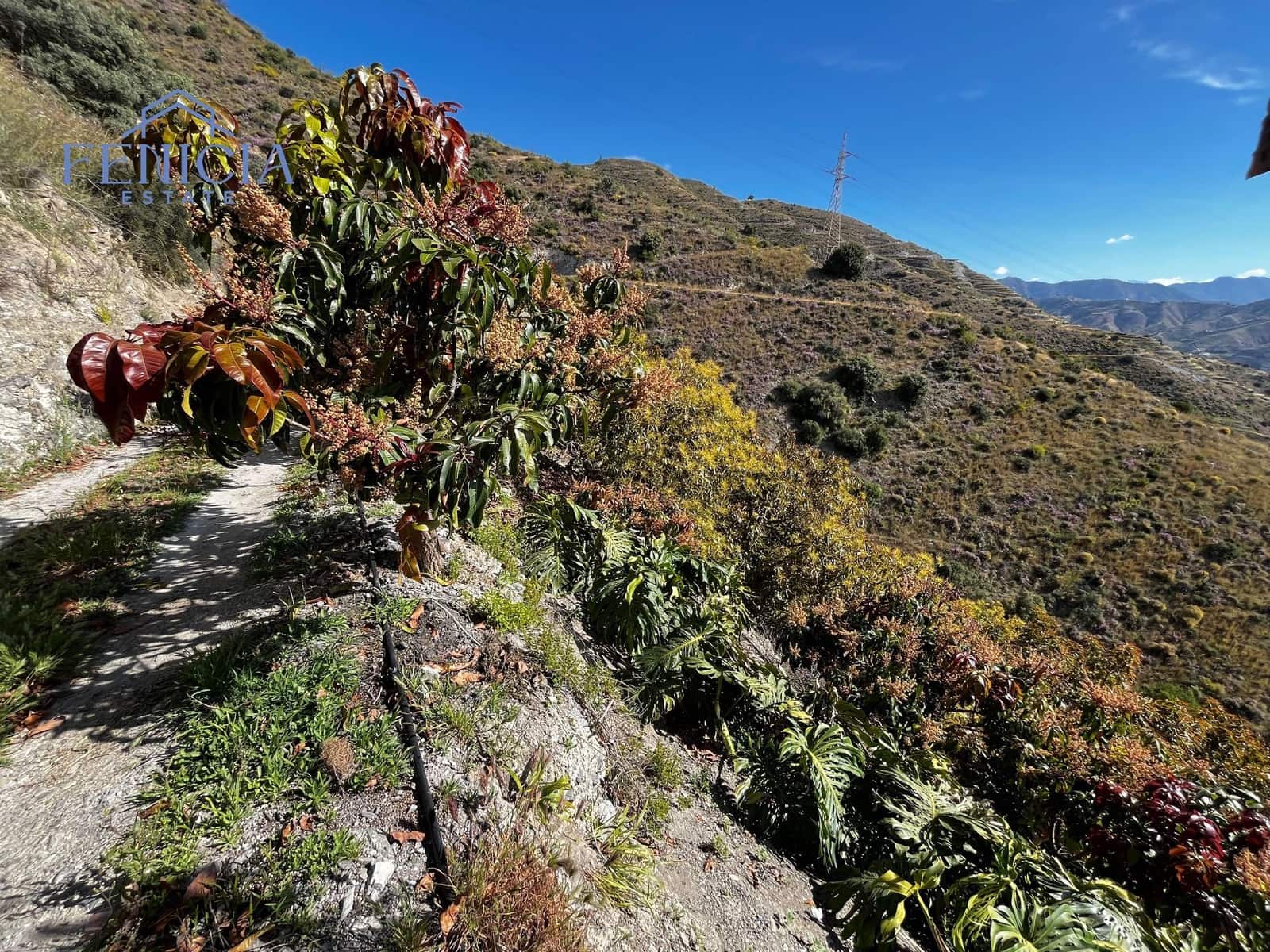 2 sovrum Finca/Hus på landet till salu i La Herradura med pool garage - 349 000 € (Ref: 8993601)