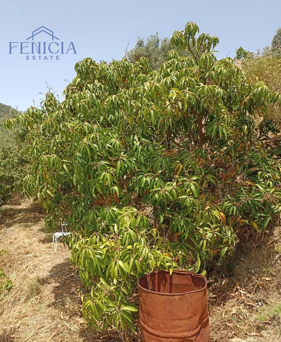 1 soverom Finca/Herregård til salgs i Almunecar - € 88 000 (Ref: 9007209)