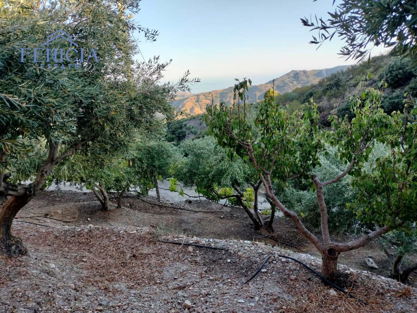 2 sypialnia Finka/Dom wiejski na sprzedaż w Otivar z basenem garażem - 214 000 € (Ref: 9204263)