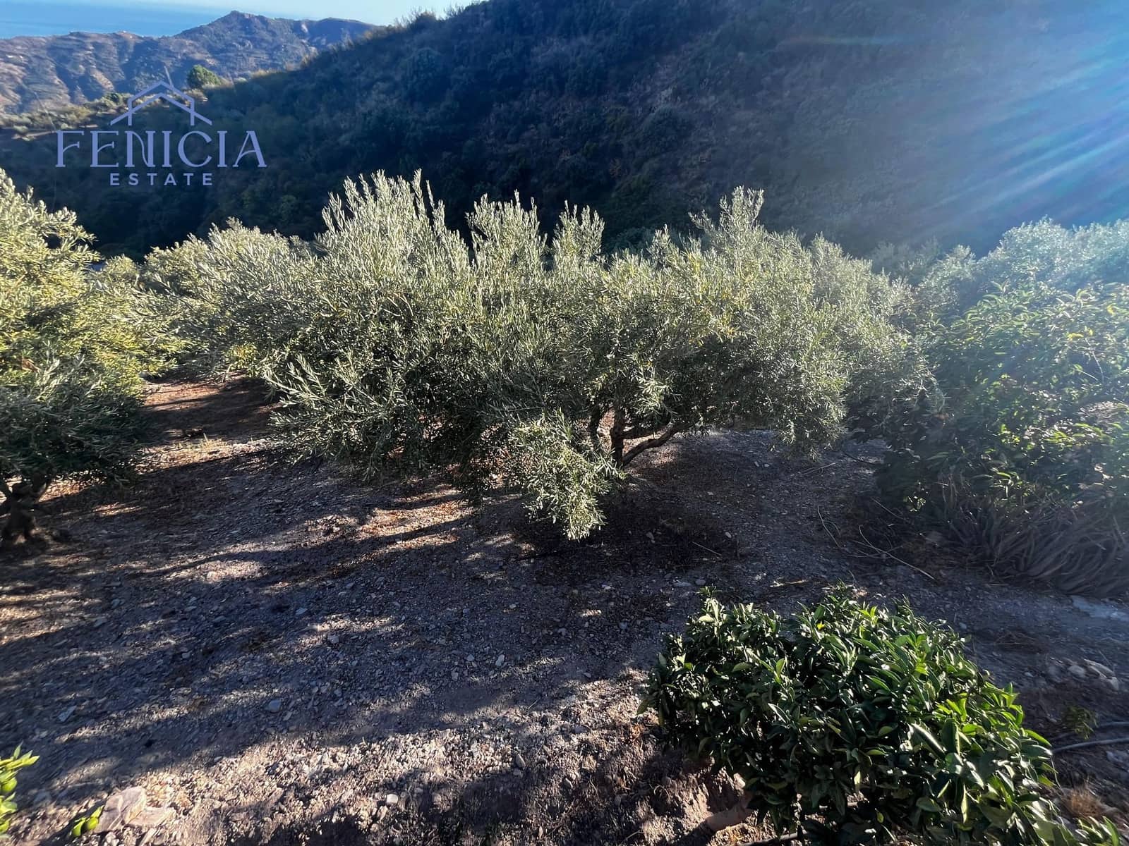 2 sypialnia Finka/Dom wiejski na sprzedaż w Otivar z basenem garażem - 214 000 € (Ref: 9204263)