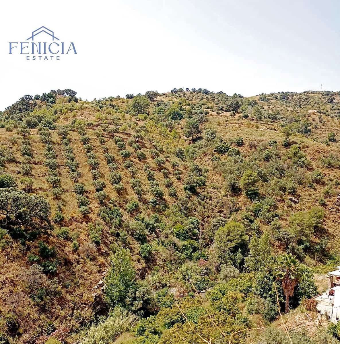 1 soverom Finca/Herregård til salgs i Almunecar - € 88 000 (Ref: 9308256)