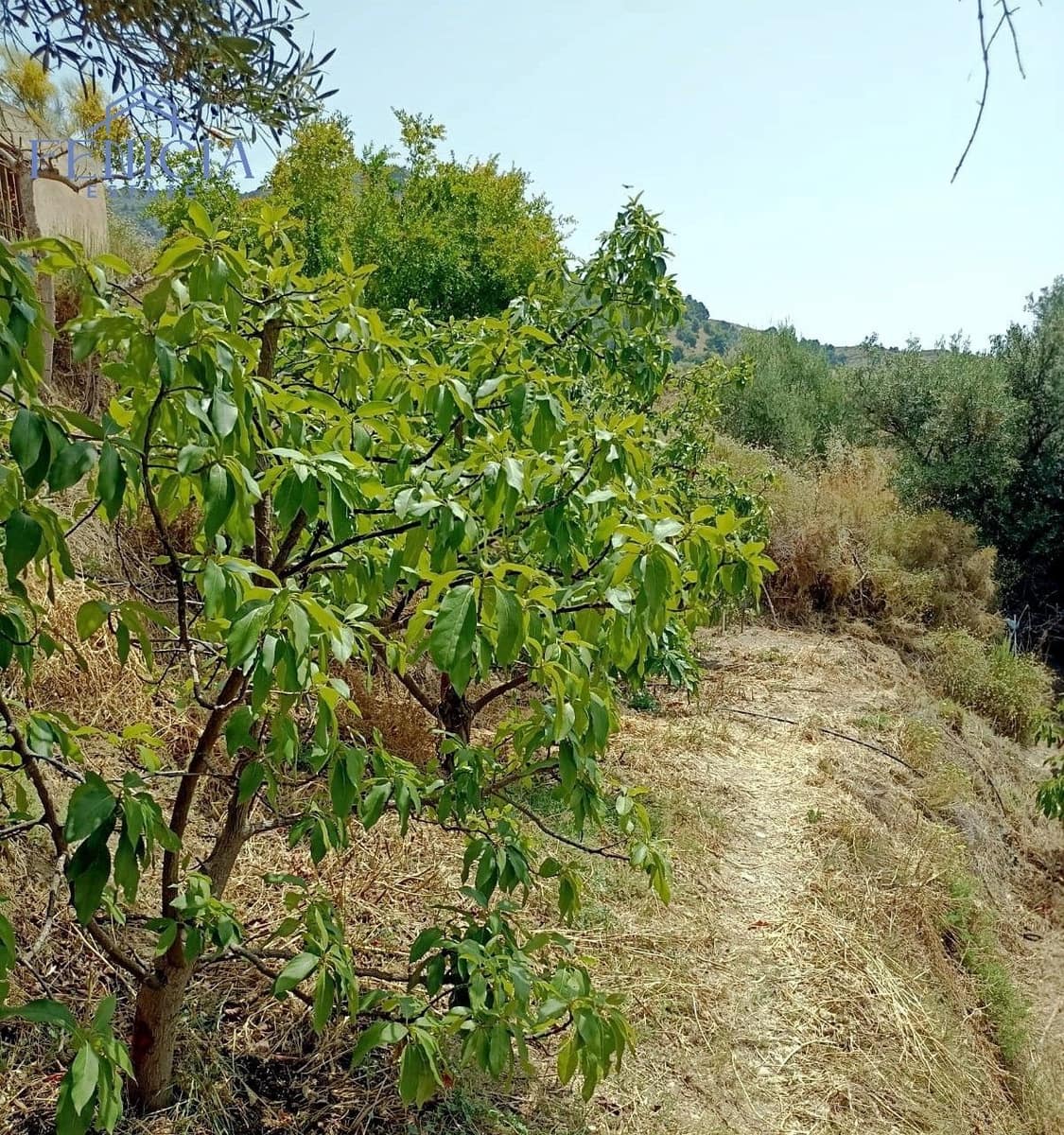 1 soverom Finca/Herregård til salgs i Almunecar - € 88 000 (Ref: 9308256)