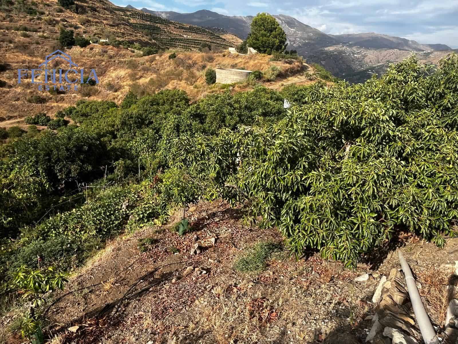 1 chambre Finca/Maison de Campagne à vendre à Almunecar - 190 000 € (Ref: 9334420)