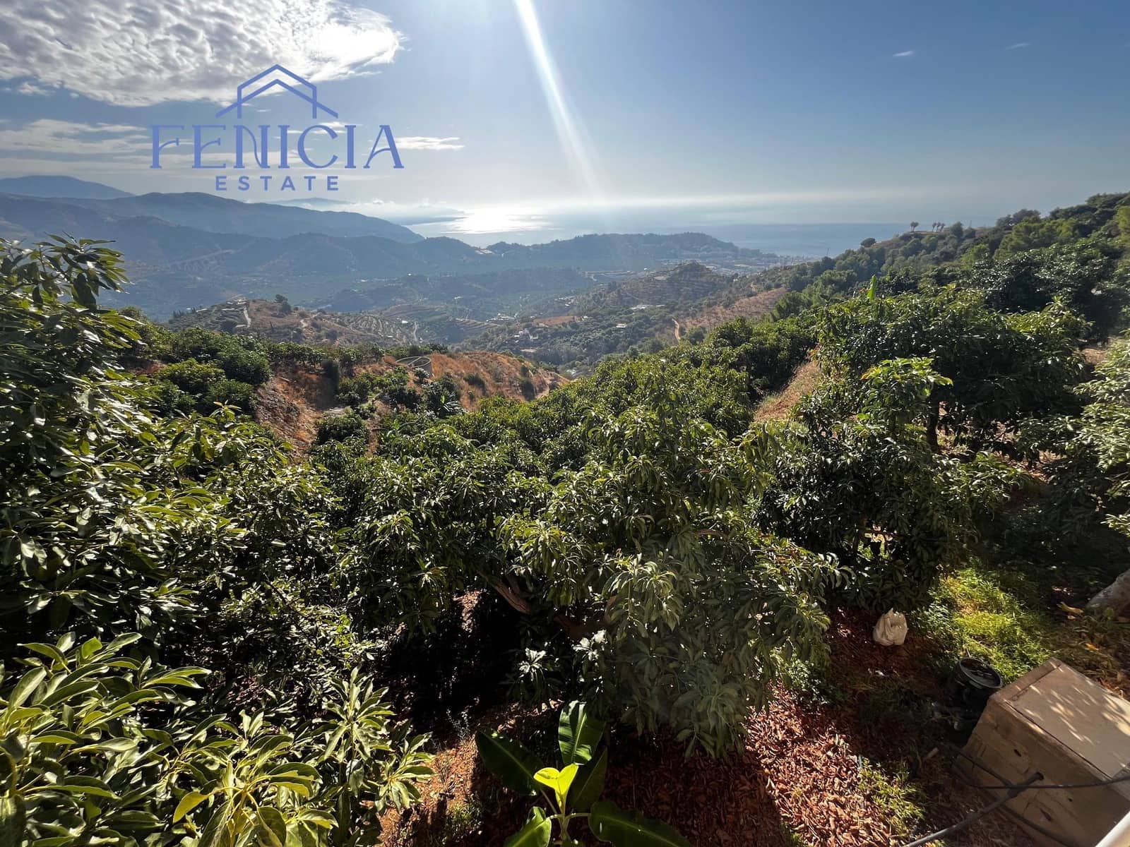 4 slaapkamer Villa te koop in Almunecar met zwembad garage - € 498.000 (Ref: 9470813)