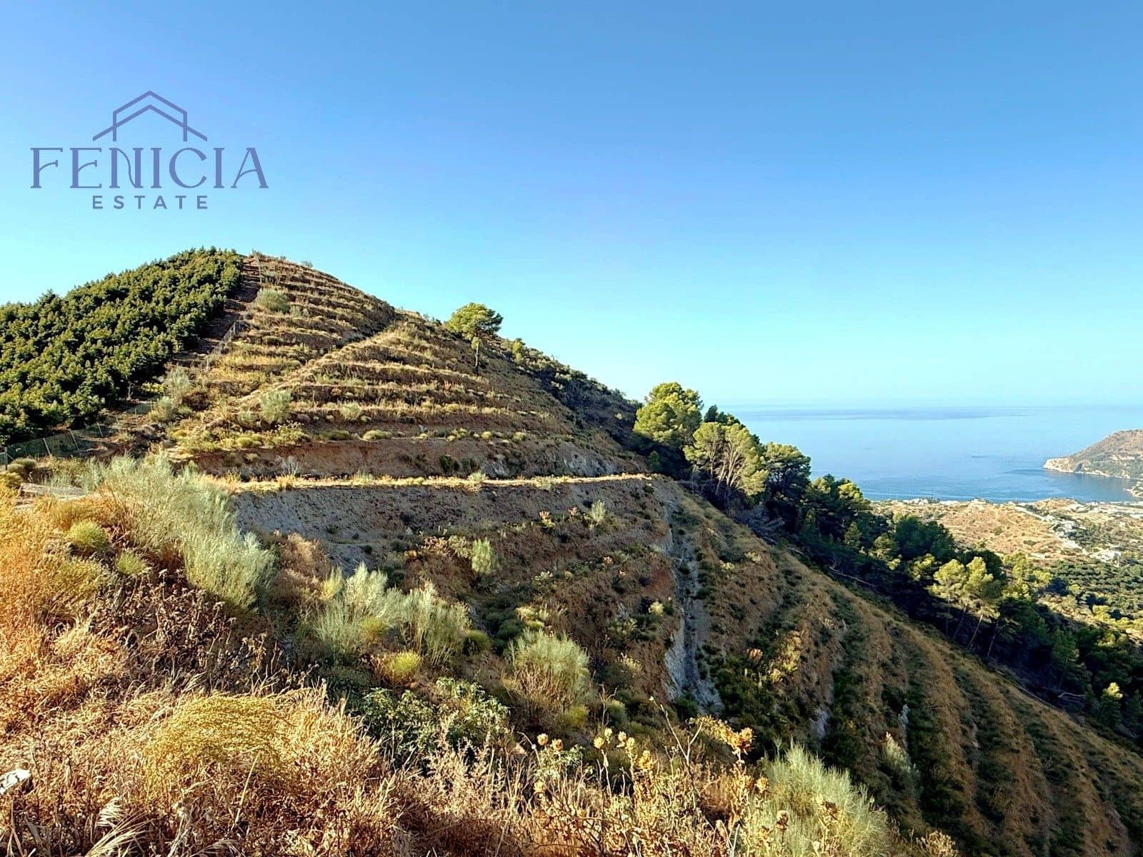 Finca/Country House for sale in Almunecar - € 235,000 (Ref: 9690080)