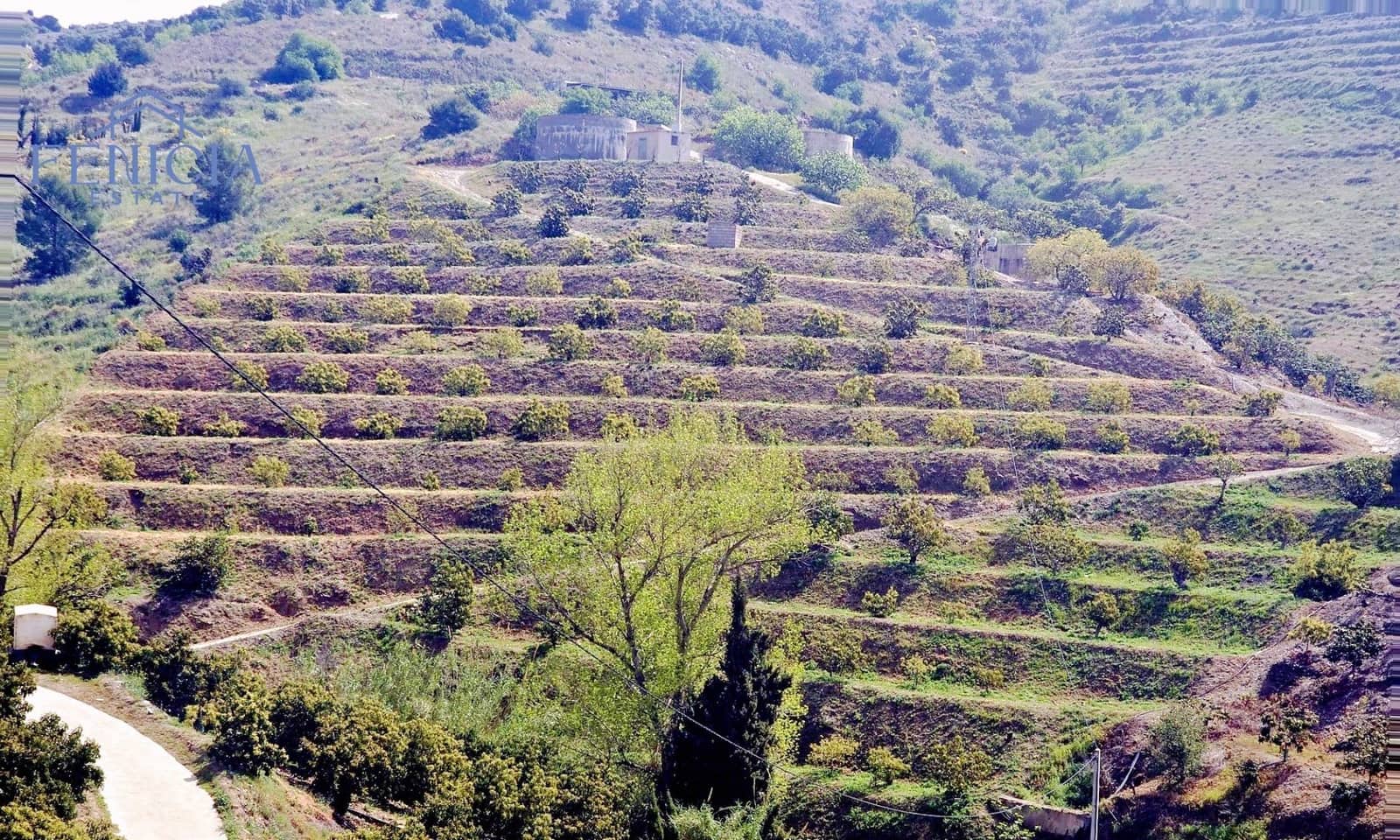 Finka/Dom wiejski na sprzedaż w Itrabo - 125 000 € (Ref: 9788019)